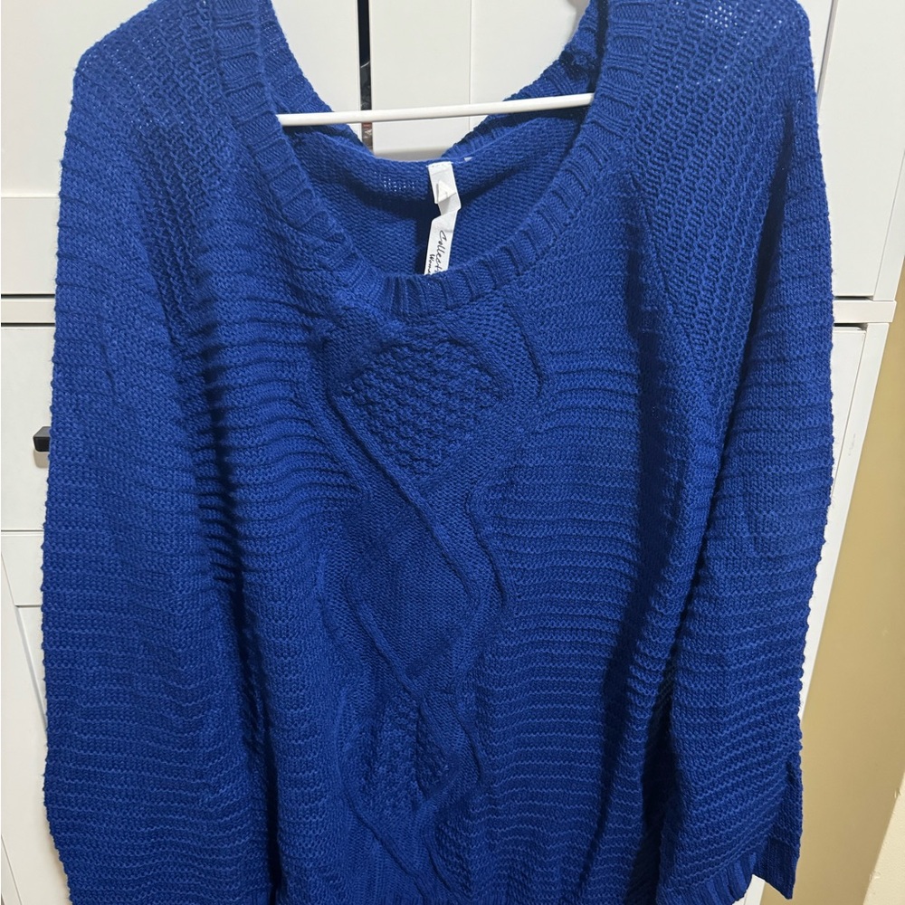 Women’s BNWT 2x Bright blue cotton knit sweater